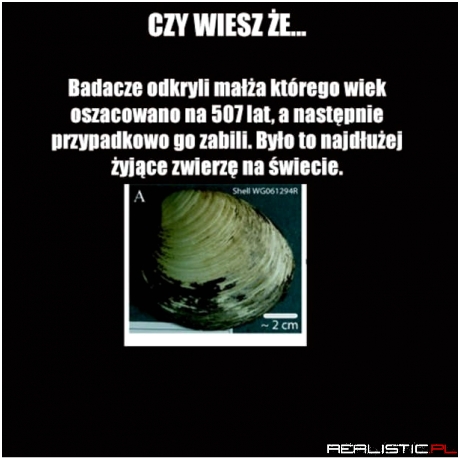 Naukowcy tacy sprytni