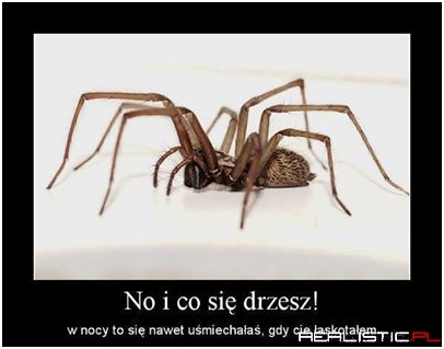 No i co się drzesz