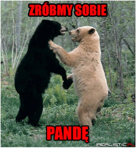 Oczywiście!