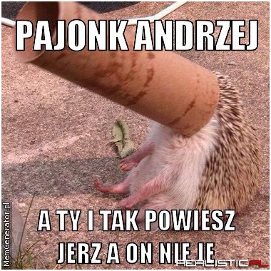 Pajonk Andrzej