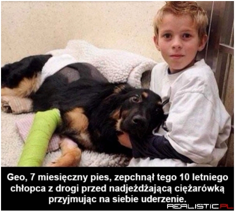 Pieseł