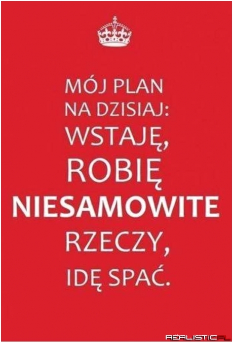 Plan na dziś