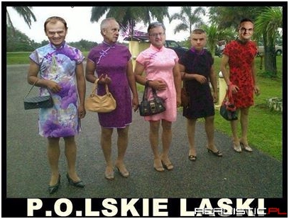 Polskie laski