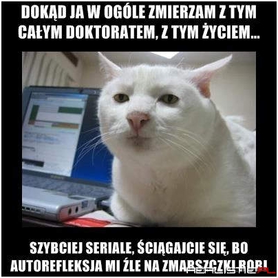 Quo vadis?