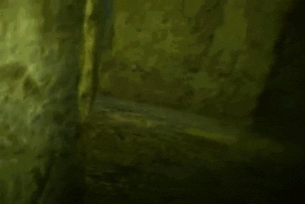 Scena z horroru