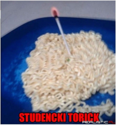Studencki Torcik