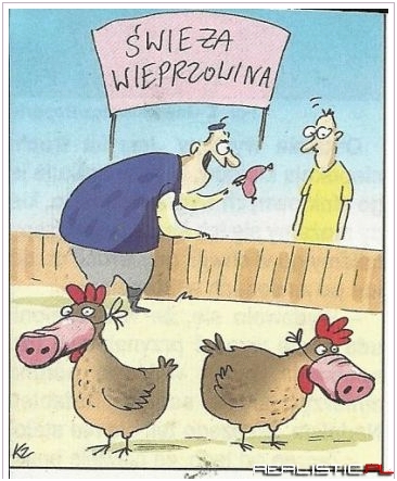 Świeża wieprzowina