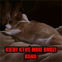 Tak mam.