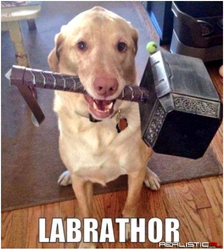 Thor