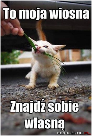 To moja wiosna