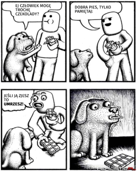 Typ psie