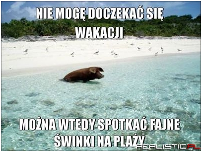 Wakacje