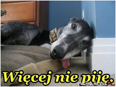Więcej nie piję