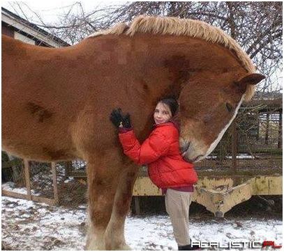 A big hug from a gentle giant