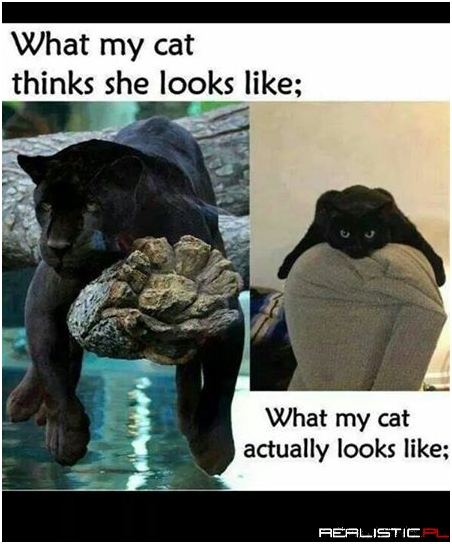 All the dang time