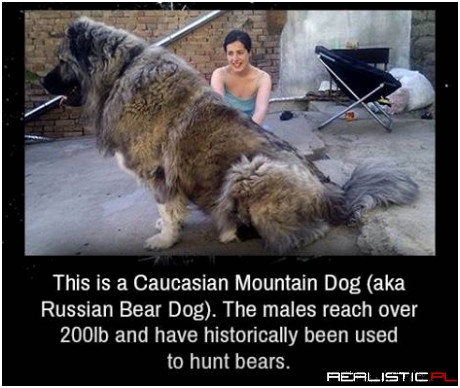 Amazing!