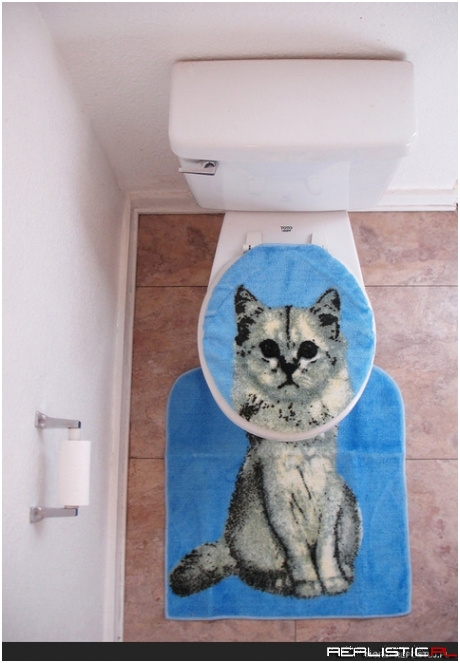 Cat toilet