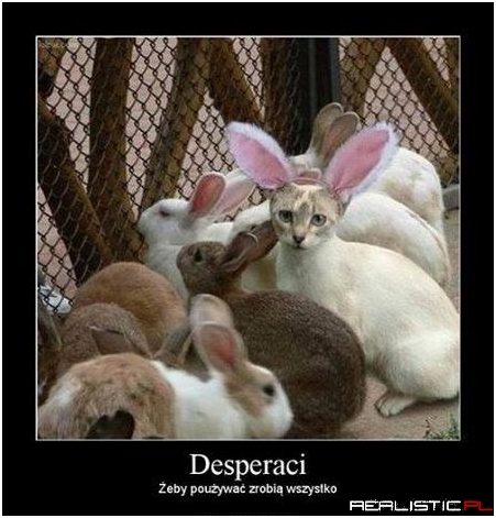 Desperaci