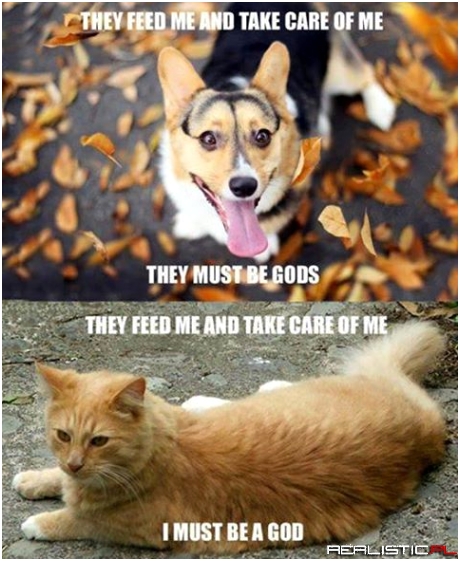 Dog Worship vs. Cat Worship