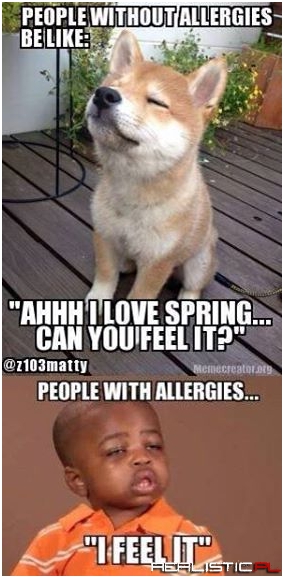 I love spring