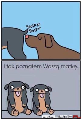 Jak poznałem waszą matkę?