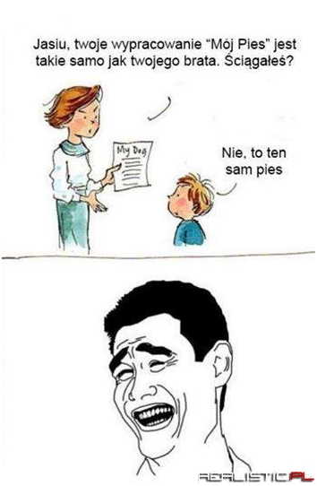 Mój pies