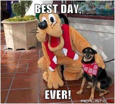 This always cheers me up