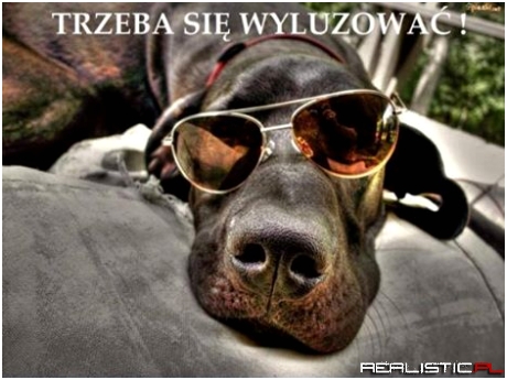 Trzeba się wyluzować