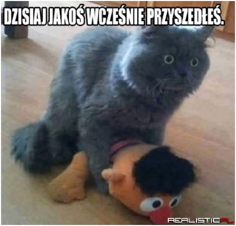 Wcześnie przyszedłeś