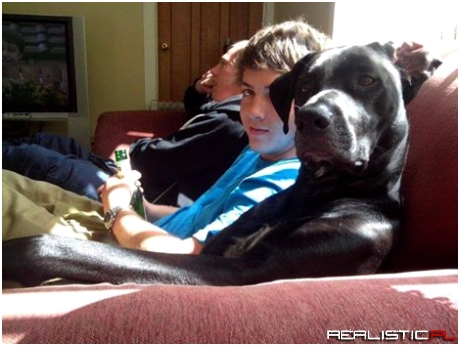 Yeah... If you could fetch me another beer, that'd be great..