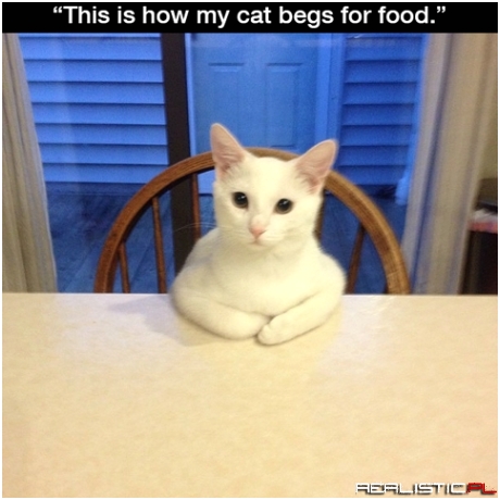Begs for food