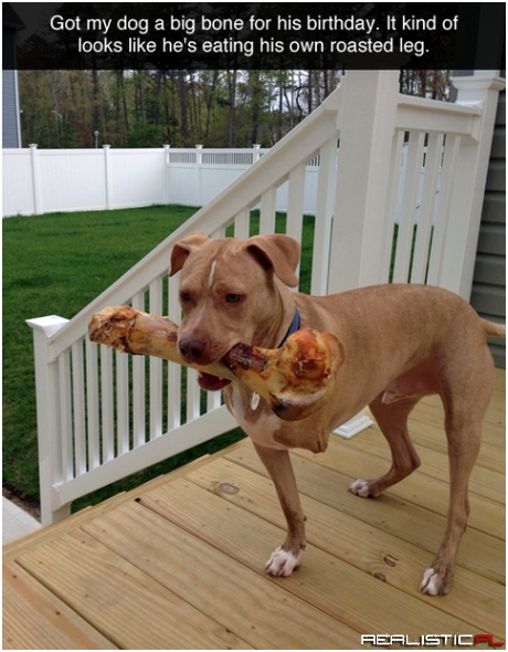 Big bone