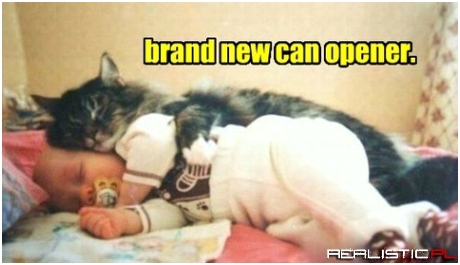 Brand new