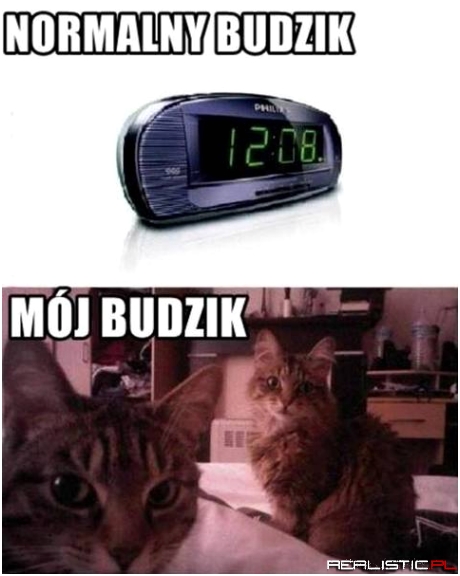 Budzik