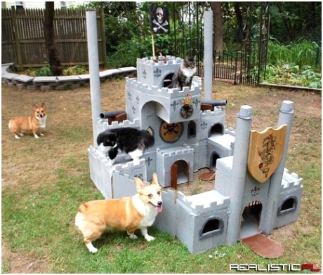 Cat Fort vs. Invading Corgis