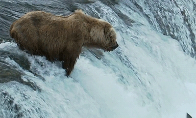 Catching fish