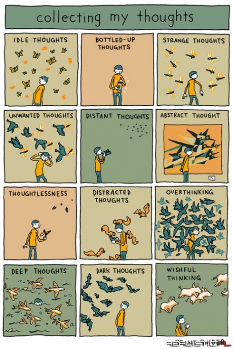 Collecting my thoughts