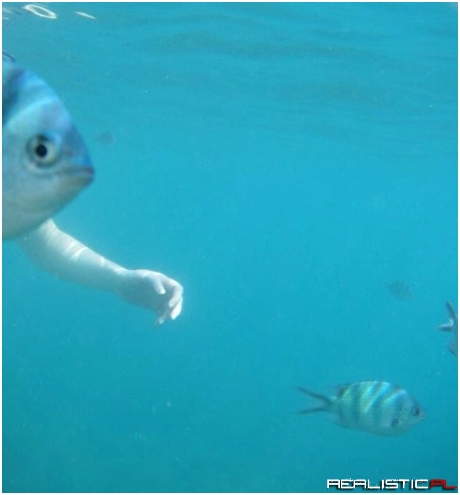 Come back here, son