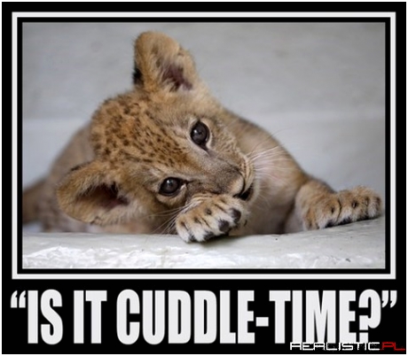 Cuddle time