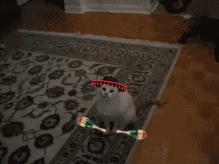 Deal with it