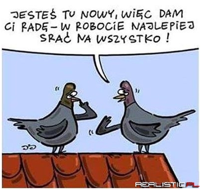 Dobra rada