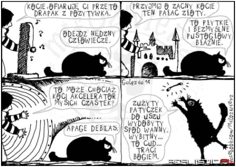 Drapak z pozytywką