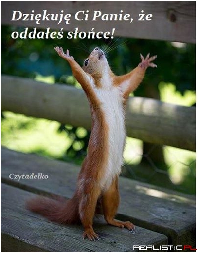 Dziękuje Ci Panie