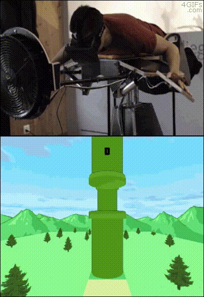 Flappy Bird simulator