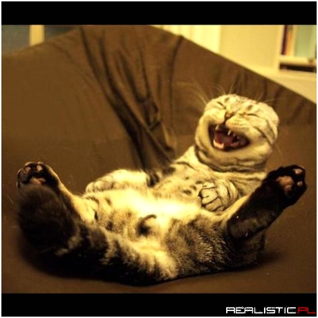 Funny