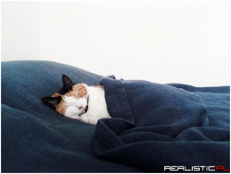 Goodnight