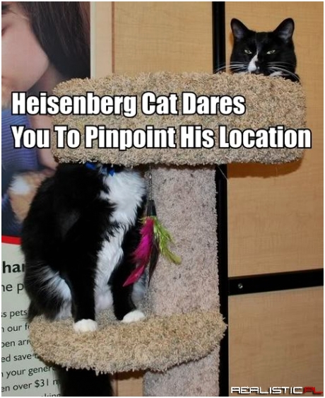 Heisenberg cat
