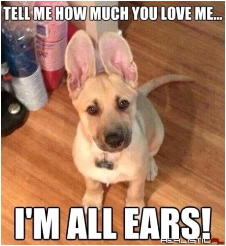 How much