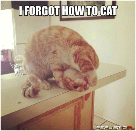 I forgot