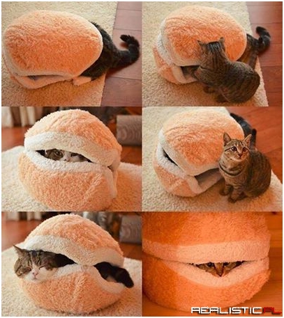 It's a hamburger pillow!